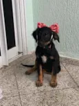 Athena
