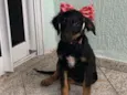 Athena