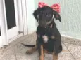 Athena