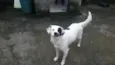 Zoe