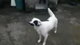 Zoe