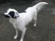 Zoe