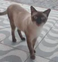 Ralf