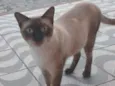 Ralf