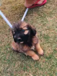Marley