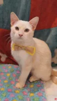 STANLEY