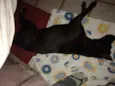 Bonita