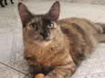 Magali