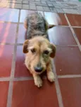 LULU