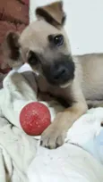 Théo