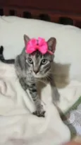 Amora