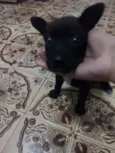 Não tem nome
