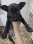 Não tem nome
