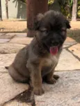 Frida