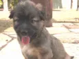 Frida