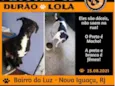 Lola /  Durão