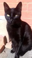 Jack