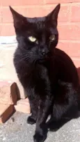 Jack
