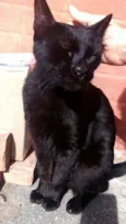Jack