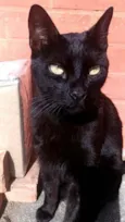 Jack