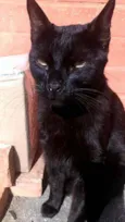 Jack