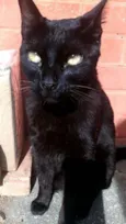 Jack