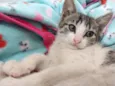 Lili