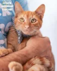 Boris
