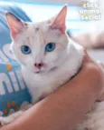 Ana Clara