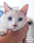 Ana Clara