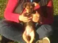 Mimoso