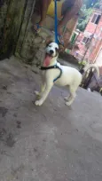 Spaike