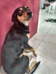 Sem nome ainda