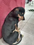 Sem nome ainda