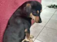 Sem nome ainda