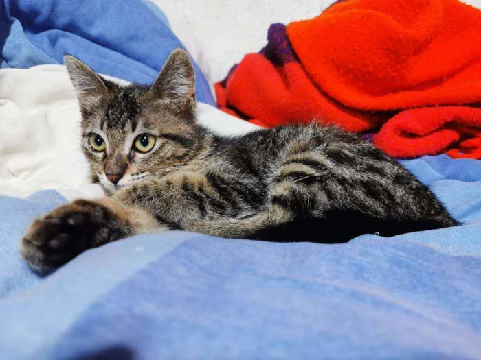 Fofinha& Cheirosinha