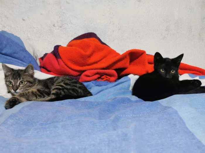 Fofinha& Cheirosinha