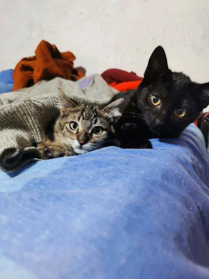 Fofinha& Cheirosinha