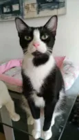 Joao