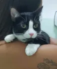 Joao