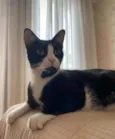 Joao