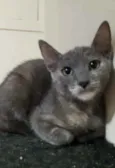 Yumi