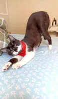 Julio
