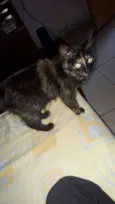 Não tem nome