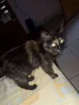 Não tem nome