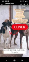 Oliver