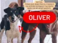 Oliver