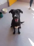Bonita