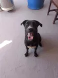 Bonita
