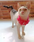 Mel